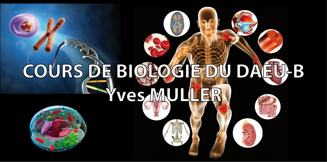 DAEU-B Biologie | Moodle UM